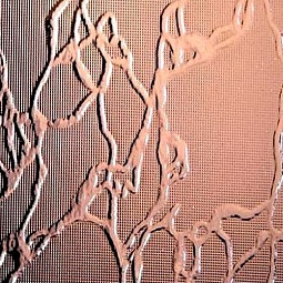 Стекло узорчатое "Сузорье"